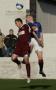 LINLITHGOW ROSE_v_IRVINE_MEADOW_AW51.jpg